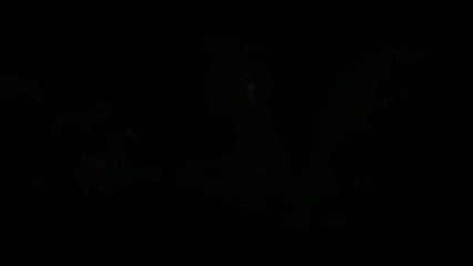 Transformers Revenge of the Fallen 'new Divide_ Video