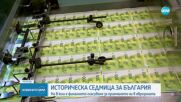 Последни стъпки: Решаваща седмица за влизането на България в еврозоната