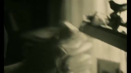 Adele - Hello