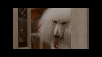 Look Who's Talking Now / Виж Кой Говори Сега (1993) Bg Audio