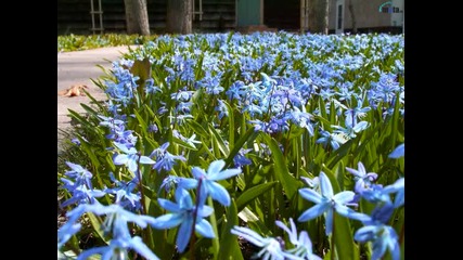 veliki Boje