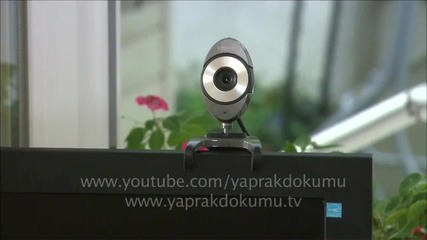 Yaprak Dokumu 164 Bolum