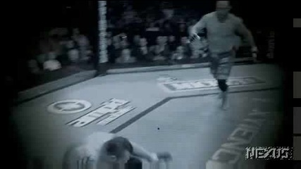 UFC 91 Couture vs. Lesnar - Реклама
