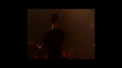 Born From Pain - Immortaliy (live)