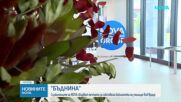 Служители на NOVA сбъдват мечтите за собствена библиотека на училище във Враца