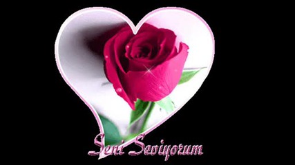 I Love You.wmv