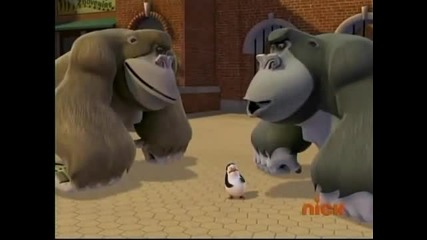 The Penguins of Madagascar - The Penguin Stay at the Picture 