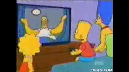 Homer_toilet_cam