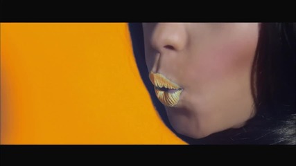 Nicki Minaj - Stupid Hoe