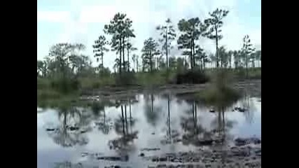 Florida Muddin
