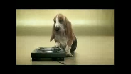 Куче Прави Beatbox Vbox7 
