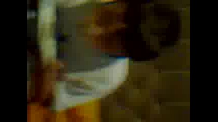 qkoto pluskane 2 4ast