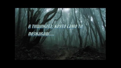 Dark Tranquillity - What Only You Know- Превод