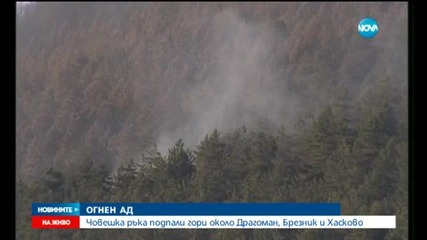 Пожарът край Брезник се разгоря отново