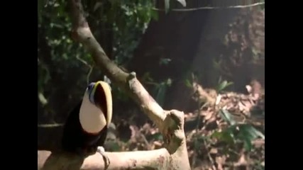Michael Jackson - Earth Song