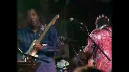 B.b. King Buddy Guy - I Cant Quit You Baby