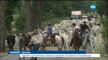 Откриха антракс в село Еленово