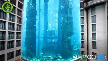 Адският аквариум в лобито на хотел