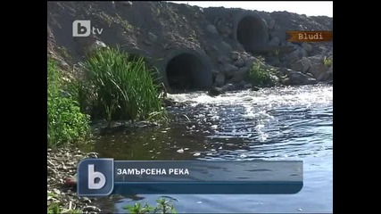 Хиляди измрели риби в река Банска край Димитровград