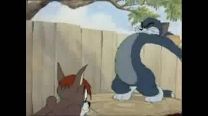 tom and jerry funny full episode 