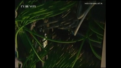 Шокиращи Истории - Професия Детектив 
