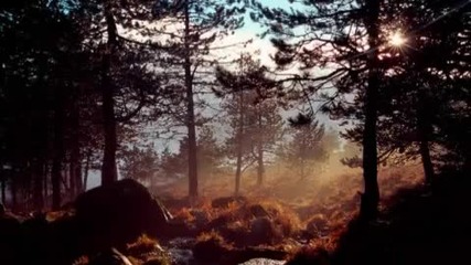 Divercia- As Mist Descends