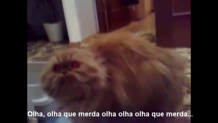 Демоничната котка! 