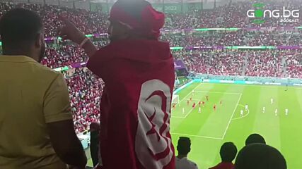 Феновете на Тунис взеха победата на трибуните срещу Дания