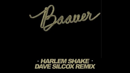 2013 • Baauer - Harlem Shake ( Dave Silcox Remix ) /electro house/