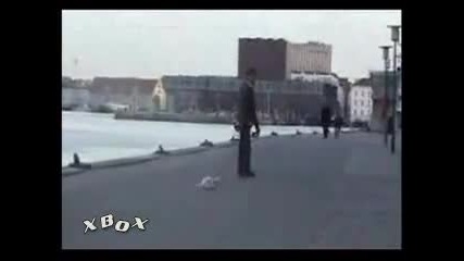 Най - твърдоглавото куче 