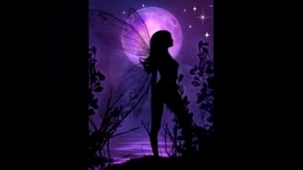 firefly - Sobeiro