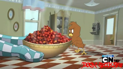 Chickenhawk