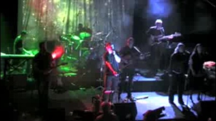 Anderson Councils Syndicate - Comfortably Numb