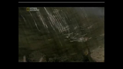 F5ab3874.flv