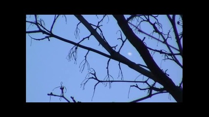 Ufo's from Russia, Moscow 04.04.2011