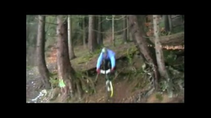 Freeride und Bikedrops