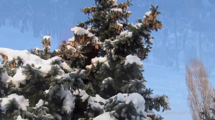 Ernesto Cortazar - Winter Joys: Intermezzo 