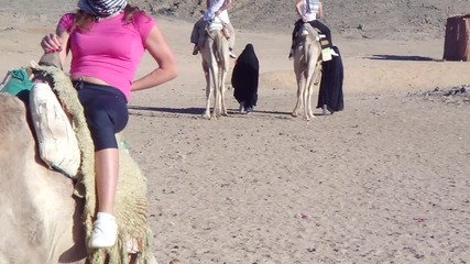 С камили в пустинята Сахара