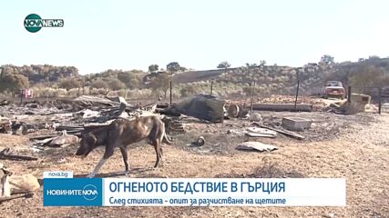 СЛЕД ОГНЕНИЯ АД: Пожарите в Гърция затихват (ВИДЕО)