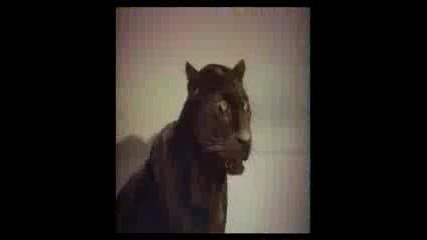 C.c. Catch - Heaven And Hell