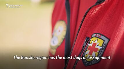 Българските екипи за планински спасителни кучета разчитат много на доброволци