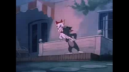 Tom and Jerry - Smarty Cat