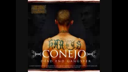 Conejo - Shady 