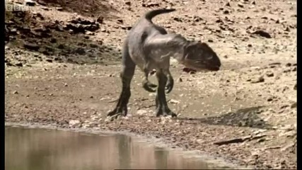 Big Al's mating call - Walking with Dinosaurs - Bbc