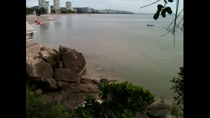 маймуни скачайки в морето в