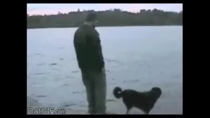Всекиму - заслуженото