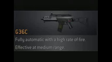 Call of Duty 4 weapon information (assault rifle)