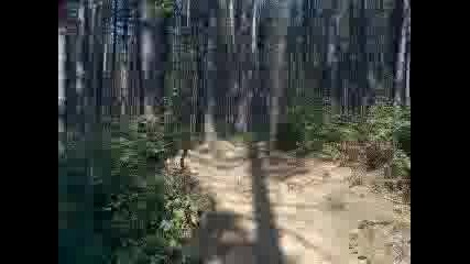 Mtb Freeride Team Troyan