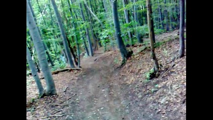 iv4oni - 25.07.2010