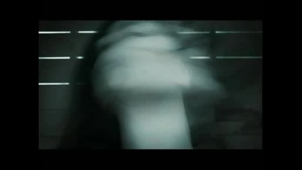 Future Of Forestry - Open Wide
